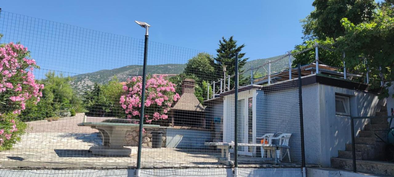 Resort Haus Toma Чезарица Экстерьер фото