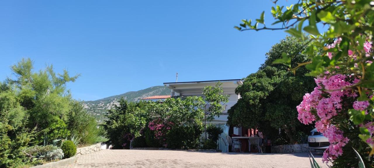 Resort Haus Toma Чезарица Экстерьер фото