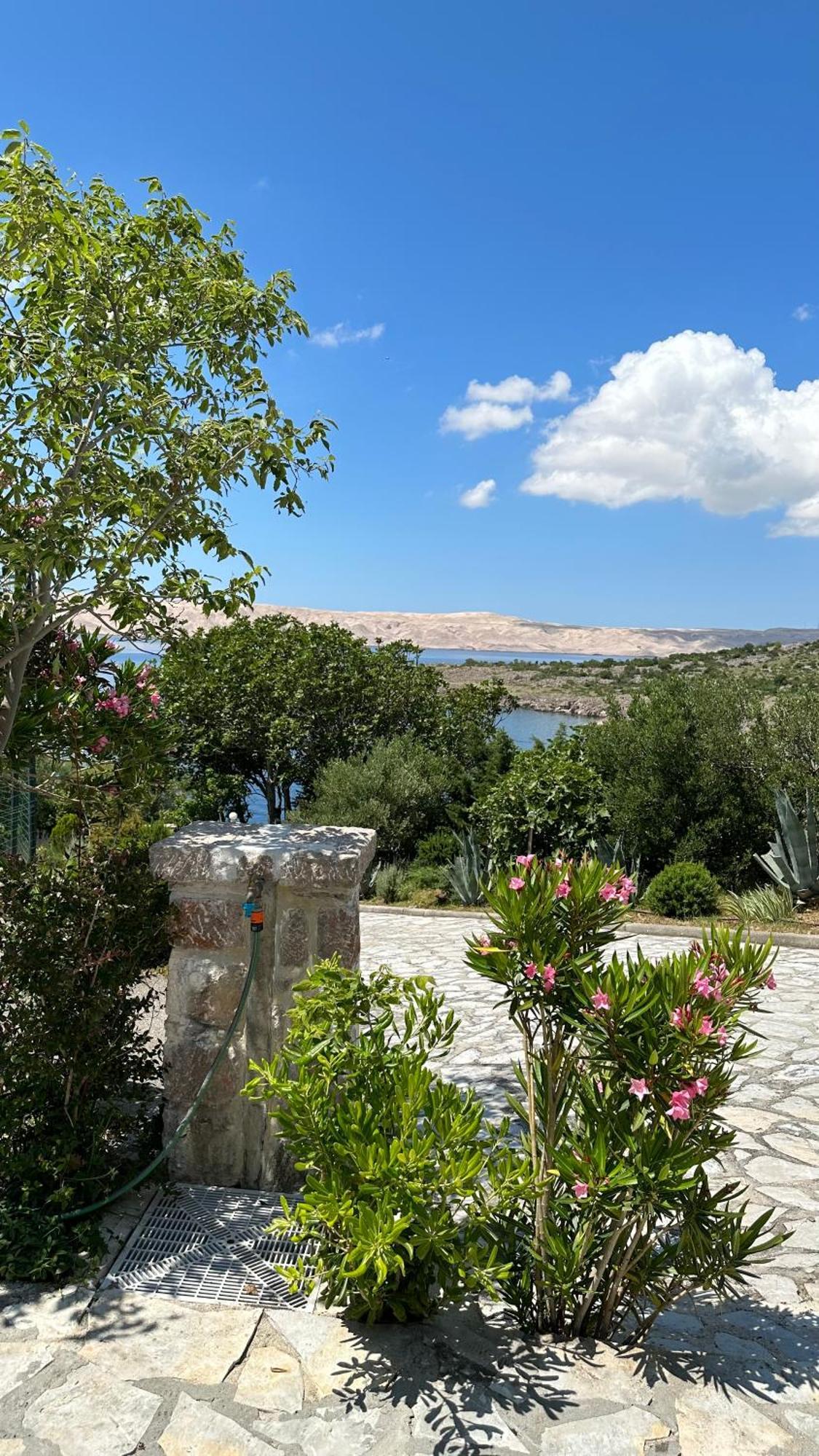 Resort Haus Toma Чезарица Экстерьер фото