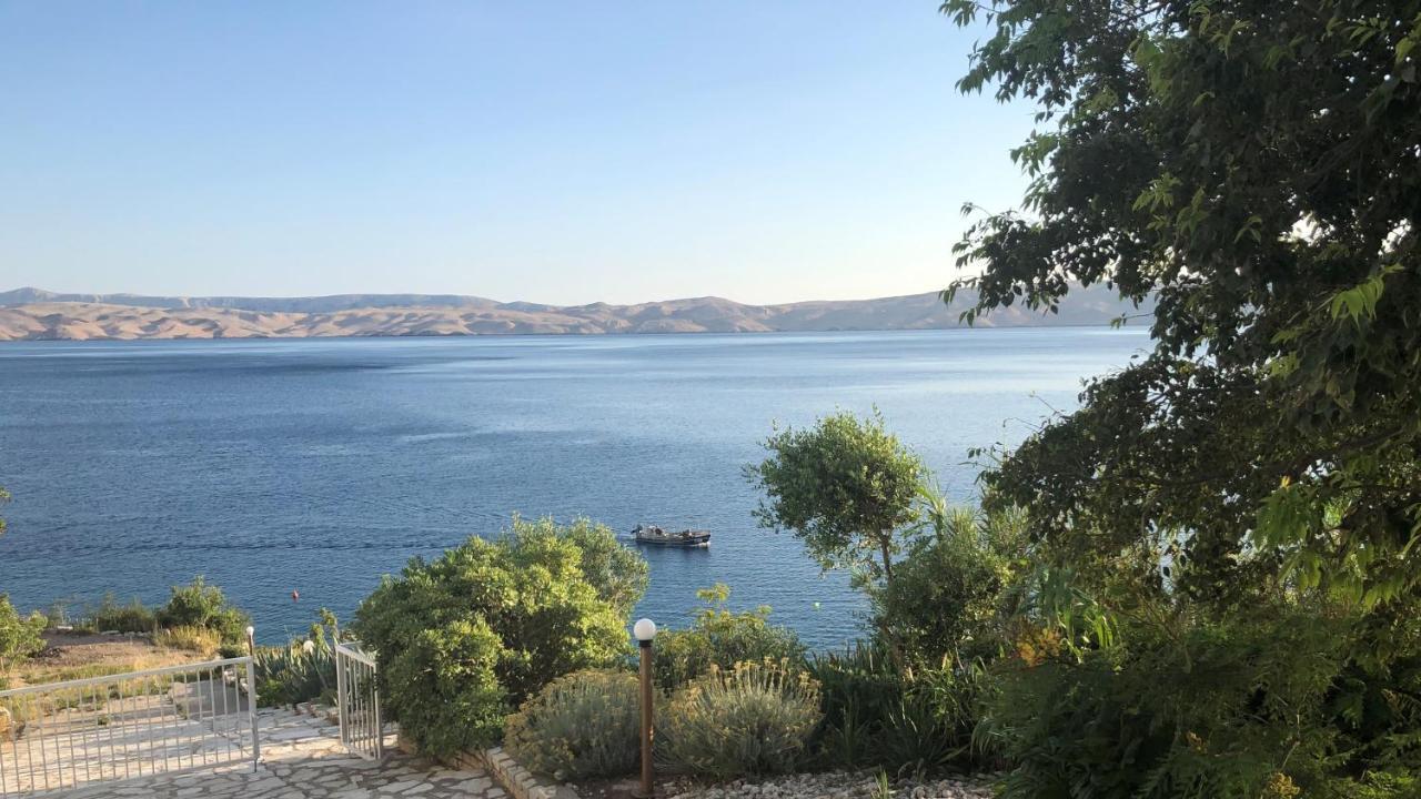 Resort Haus Toma Чезарица Экстерьер фото