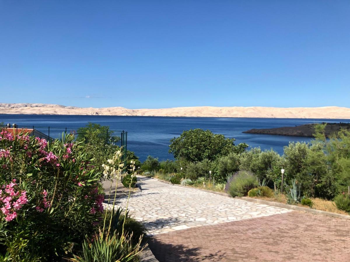 Resort Haus Toma Чезарица Экстерьер фото