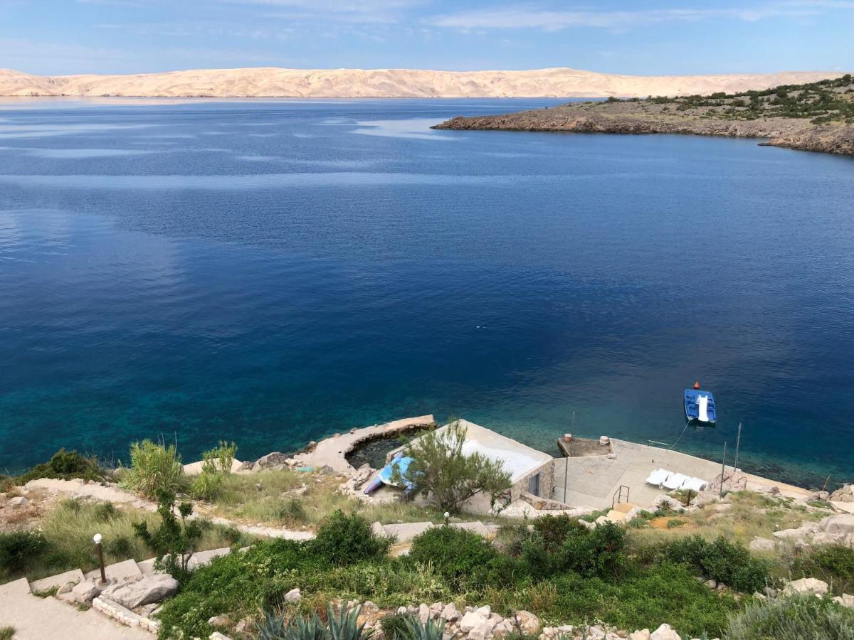 Resort Haus Toma Чезарица Экстерьер фото